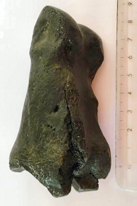 &copy; Sjoerd Repping